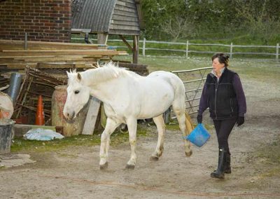 Storm Lucy Postgate Riding School Yard Equestrian Lewes Sussex image